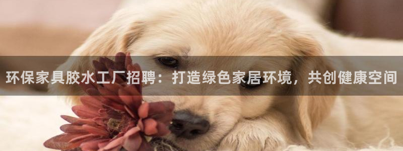 杏耀平台手机