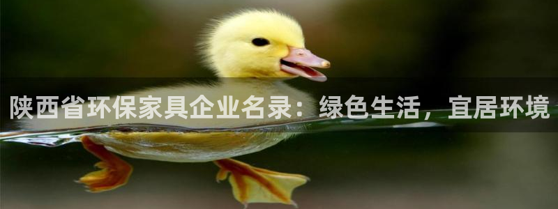杏耀官网主管