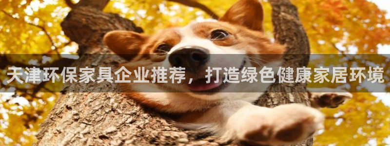 杏耀平台测速地址