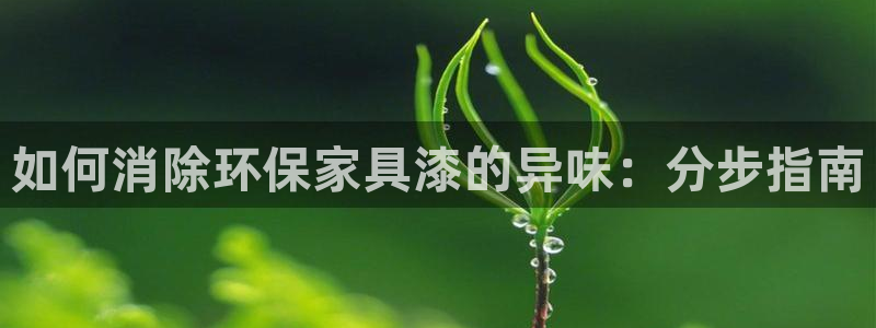 杏耀平台招商的流程