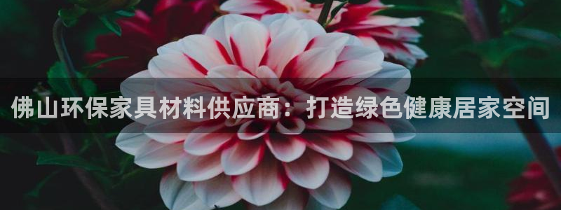 杏耀平台手机
