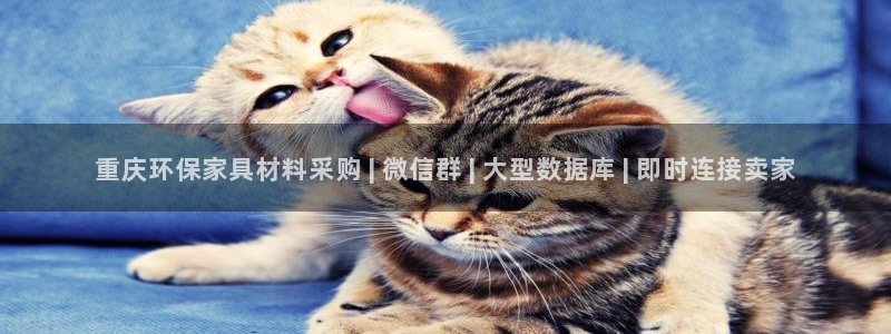 杏耀手机客户端