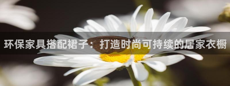 杏耀平台到底能玩吗