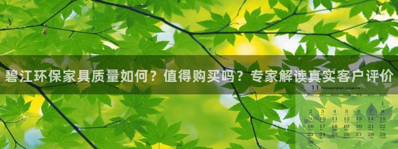 杏耀代理注册开户：碧江环保家具质量如何？值得购买吗？专家解读