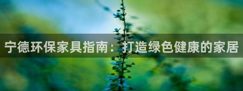杏耀代理连接