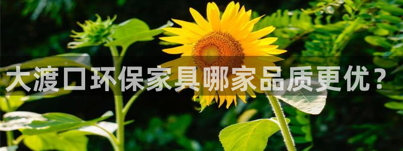 杏耀平台官网
