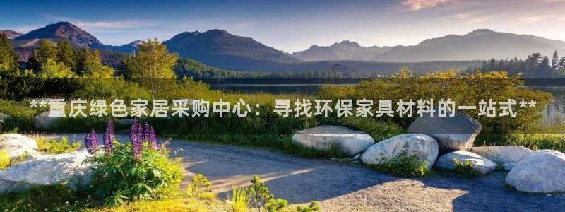 杏耀平台服务中心怎么样